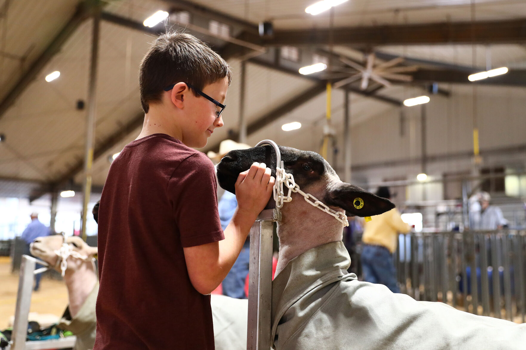 Brazos Valley Youth Livestock Show